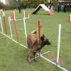 agility 2011-10-30